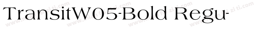 TransitW05-Bold Regu字体转换